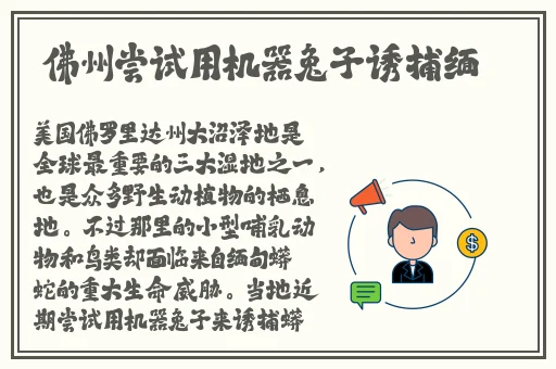 99国品一二三产区区1688